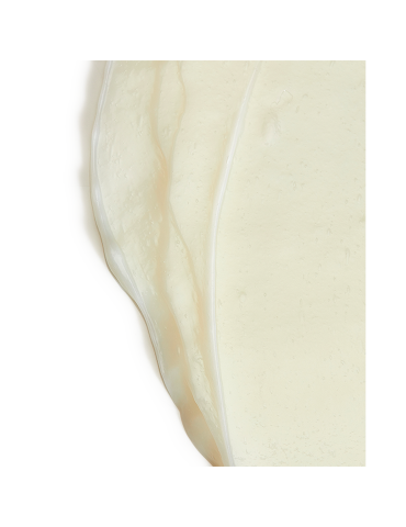 Accueil Accueil Masque Protéiné Mane Attention EVO EVO 26,00&nbsp;€