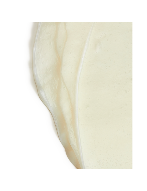 Accueil Accueil Masque Protéiné Mane Attention EVO EVO 26,00&nbsp;€