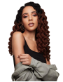 Mèches Faux locks pour crochets braids Butterfly Locs 22"