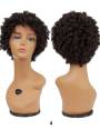 Perruque afro court lace wig crépus creeps Jumbo Coiled Pixie