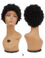 Perruque afro court lace wig crépus Super Coilled Pixie Feme