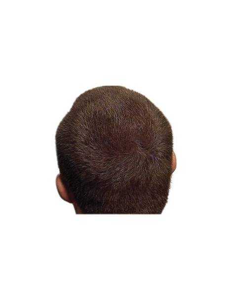 Inicio Inicio NANOFIBRES Polvo para el cabello 15GR NANOGEN 23,00 EUR