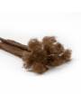 10 Extensions locks crochet en cheveux naturel afro crépus