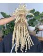 10 Extensions locks crochet cheveux naturel afro crépus couleur