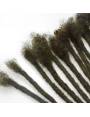 10 Extensions locks crochet cheveux naturel afro crépus couleur