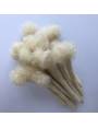 10 Extensions locks crochet en cheveux naturel afro crépus