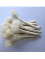 10 Extensions locks crochet en cheveux naturel afro crépus