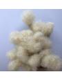 10 Extensions locks crochet en cheveux naturel afro crépus