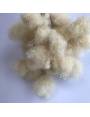 10 Extensions locks crochet en cheveux naturel afro crépus