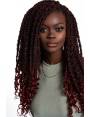 meche pour crochet braids tresses Mustique twist urban color T1B/BG