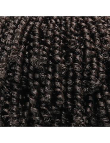 Perruque Afro Crépus Lace Front 4c Coily Big Beautiful Hair Outre