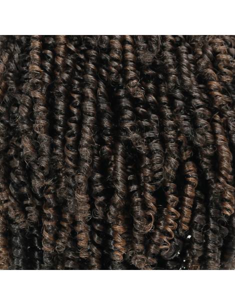 Perruque Afro Crépus Lace Front 4c Coily Big Beautiful Hair Outre