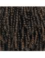 Perruque Afro Crépus Lace Front 4c Coily Big Beautiful Hair Outre