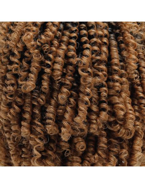 Perruque Afro Crépus Lace Front 4c Coily Big Beautiful Hair Outre