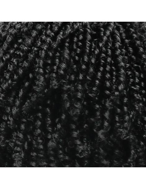 Perruque Afro Crépus Lace Front 4c Coily Big Beautiful Hair Outre