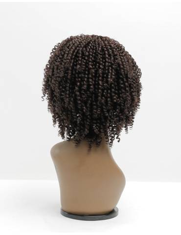 Perruque Afro Crépus Lace Front 4c Coily Big Beautiful Hair Outre
