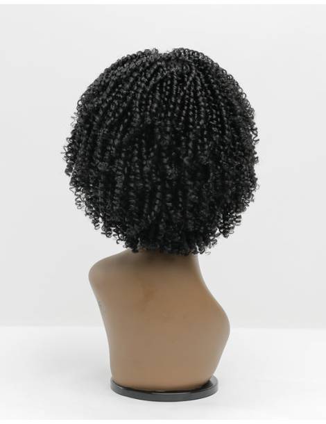 Perruque Afro Crépus Lace Front 4c Coily Big Beautiful Hair Outre
