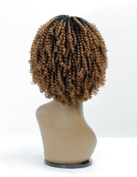 Perruque Afro Crépus Lace Front 4c Coily Big Beautiful Hair Outre