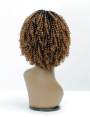 Perruque Afro Crépus Lace Front 4c Coily Big Beautiful Hair Outre