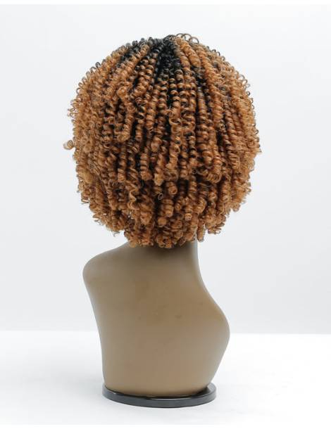 Perruque Afro Crépus Lace Front 4c Coily Big Beautiful Hair Outre