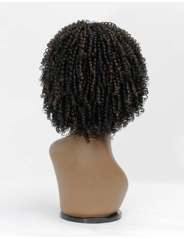 Perruque Afro Crépus Lace Front 4c Coily Big Beautiful Hair Outre