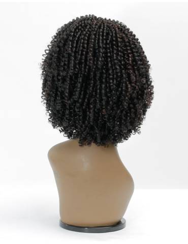 Perruque Afro Crépus Lace Front 4c Coily Big Beautiful Hair Outre