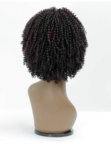 Perruque Afro Crépus Lace Front 4c Coily Big Beautiful Hair Outre
