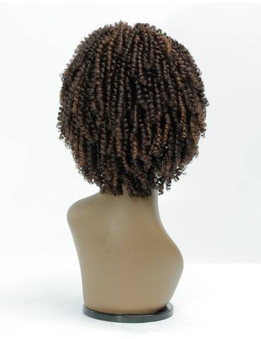 Perruque Afro Crépus Lace Front 4c Coily Big Beautiful Hair Outre