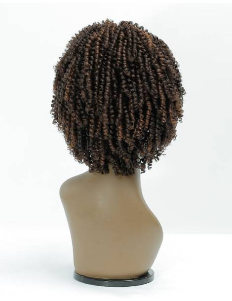 Perruque Afro Crépus Lace Front 4c Coily Big Beautiful Hair Outre