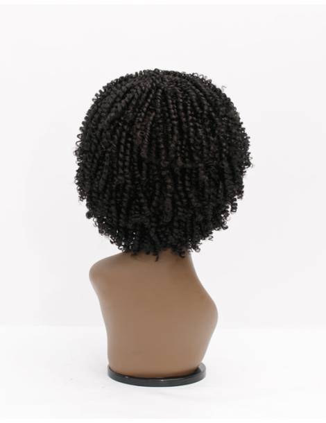 Perruque Afro Crépus Lace Front 4c Coily Big Beautiful Hair Outre