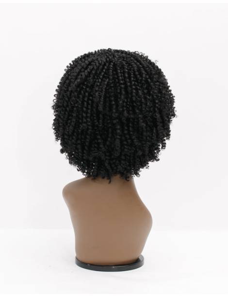 Perruque Afro Crépus Lace Front 4c Coily Big Beautiful Hair Outre